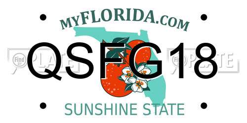 QSFG18 Florida License Plate