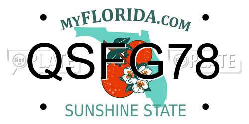 QSFG78 Florida License Plate