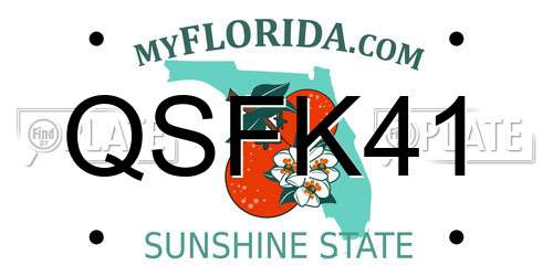 QSFK41 Florida License Plate