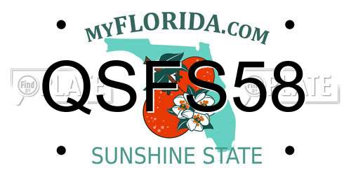 QSFS58 Florida License Plate