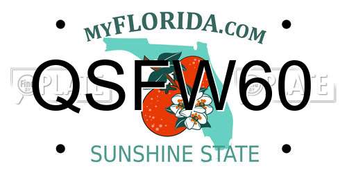 QSFW60 Florida License Plate
