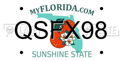 QSFX98 Florida License Plate
