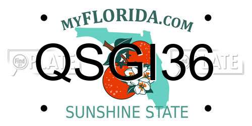 QSGI36 Florida License Plate