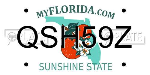 QSH59Z Florida License Plate