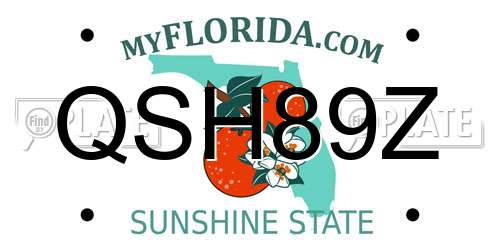 QSH89Z Florida License Plate