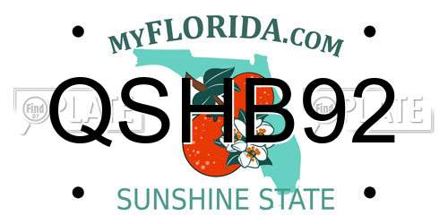QSHB92 Florida License Plate