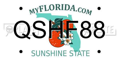 QSHF88 Florida License Plate