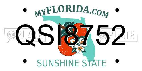 QSI8752 Florida License Plate