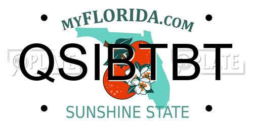 QSIBTBT Florida License Plate