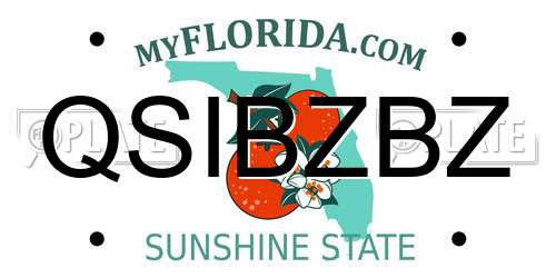 QSIBZBZ Florida License Plate