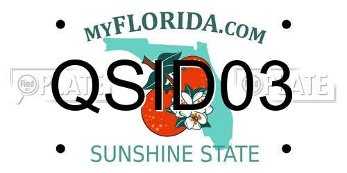 QSID03 Florida License Plate