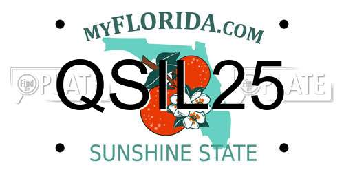 QSIL25 Florida License Plate