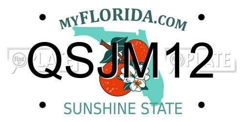 QSJM12 Florida License Plate