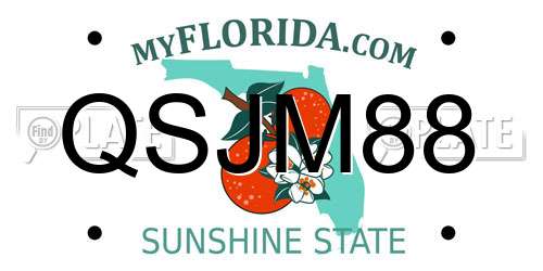 QSJM88 Florida License Plate
