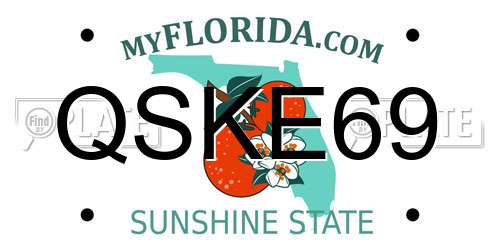 QSKE69 Florida License Plate