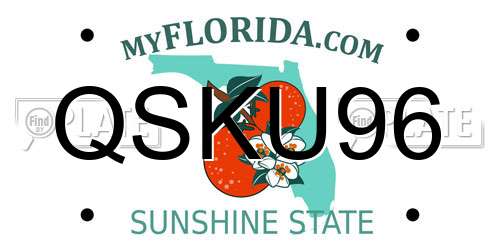 QSKU96 Florida License Plate