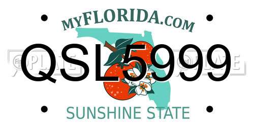 QSL5999 Florida License Plate