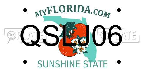QSLJ06 Florida License Plate