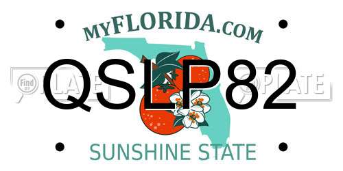 QSLP82 Florida License Plate