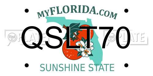 QSLT70 Florida License Plate