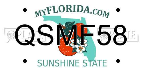 QSMF58 Florida License Plate