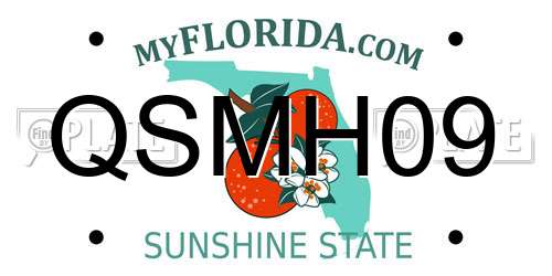 QSMH09 Florida License Plate