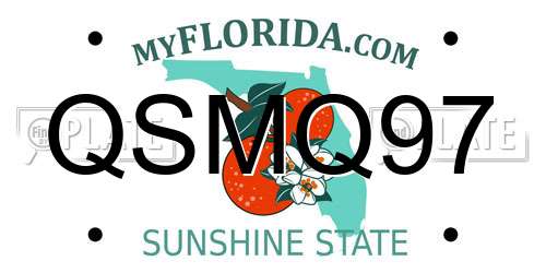 QSMQ97 Florida License Plate