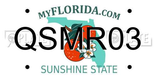 QSMR03 Florida License Plate