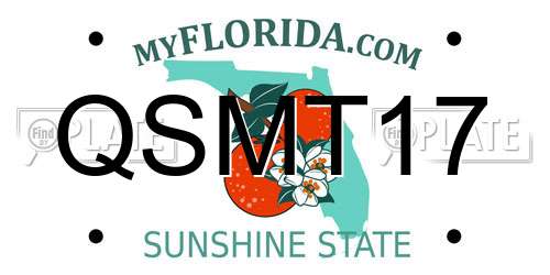 QSMT17 Florida License Plate