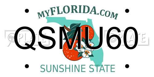 QSMU60 Florida License Plate