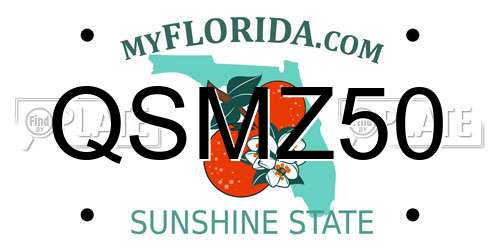 QSMZ50 Florida License Plate