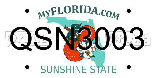 QSN3003 Florida License Plate