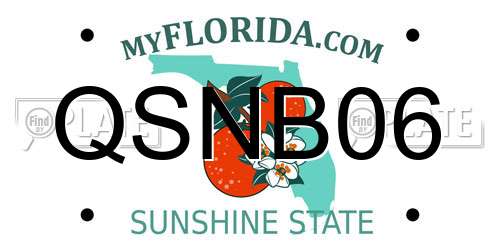 QSNB06 Florida License Plate