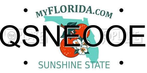 QSNEOOE Florida License Plate