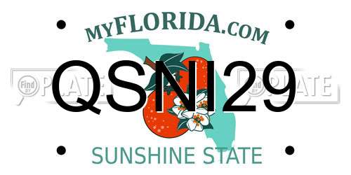 QSNI29 Florida License Plate