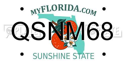 QSNM68 Florida License Plate