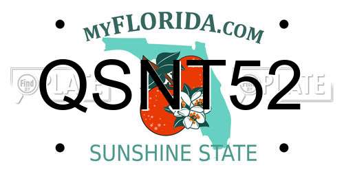 QSNT52 Florida License Plate