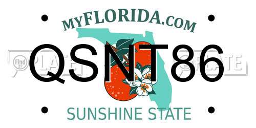 QSNT86 Florida License Plate