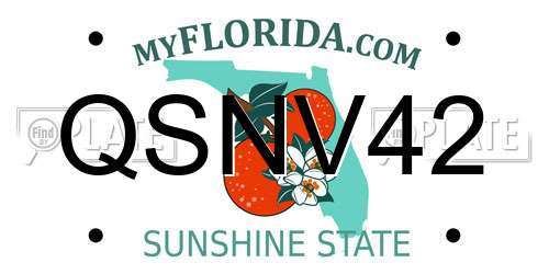 QSNV42 Florida License Plate