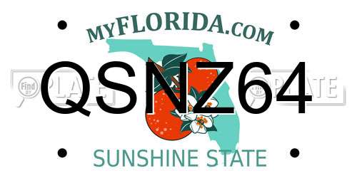 QSNZ64 Florida License Plate