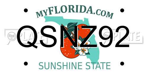 QSNZ92 Florida License Plate
