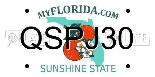 QSPJ30 Florida License Plate