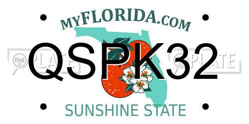 QSPK32 Florida License Plate