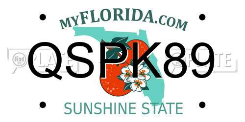 QSPK89 Florida License Plate
