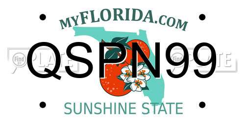 QSPN99 Florida License Plate