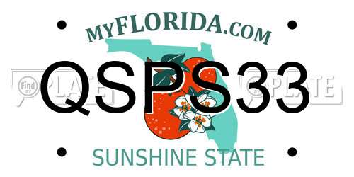 QSPS33 Florida License Plate