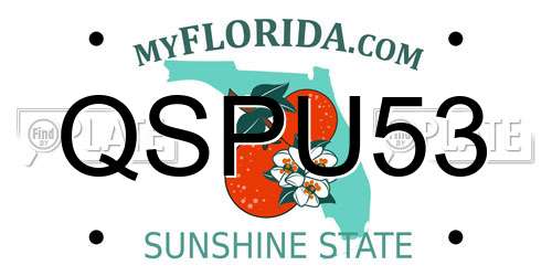 QSPU53 Florida License Plate