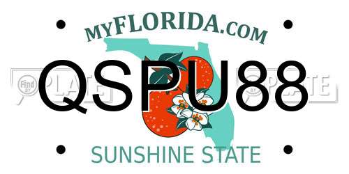 QSPU88 Florida License Plate
