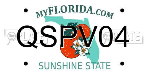 QSPV04 Florida License Plate