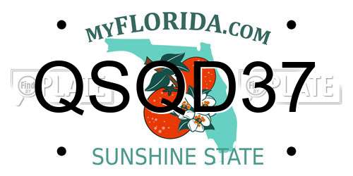 QSQD37 Florida License Plate